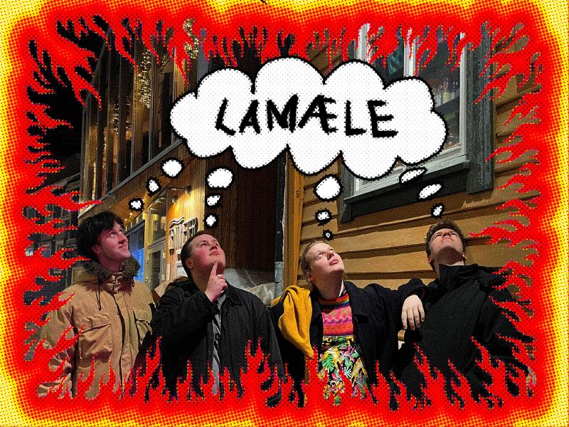 Lamæle 3101.jpg Illustrasjonsbilde Lamæle